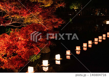 真っ赤な紅葉 真っ赤な紅葉 140804716