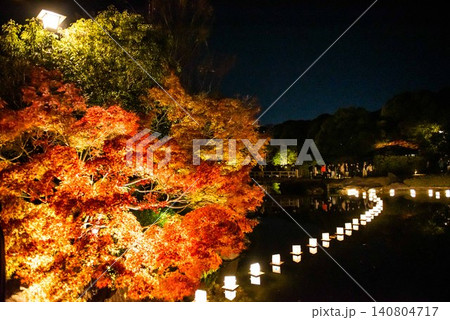 ライトアップされた紅葉 ライトアップされた紅葉 140804717