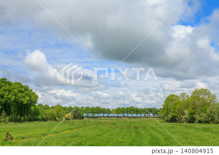 Green fields and trees in Dutch countryside Green fields and trees in Dutch countryside 140804915