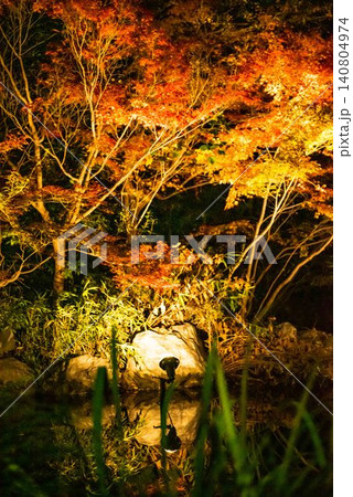紅葉のライトアップされた池の紅葉 紅葉のライトアップされた池の紅葉 140804974