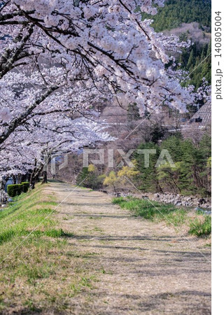 満開の桜のある風景 満開の桜のある風景 140805004