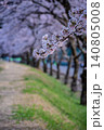 桜のある風景 140805008