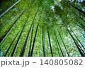竹林を見上げる 140805082