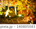ライトアップされた紅葉 140805083