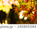ライトアップされた紅葉 140805084