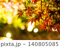 輝く紅葉 140805085