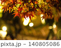 ライトアップされた紅葉 140805086