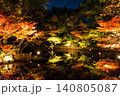 ライトアップされた紅葉 140805087