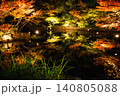 水面に映る紅葉 140805088