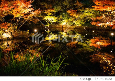 水面に映る紅葉 水面に映る紅葉 140805088