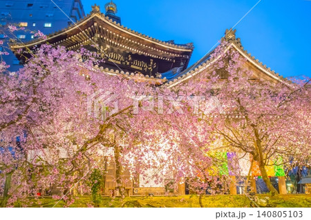 六角堂 桜 六角堂 桜 140805103