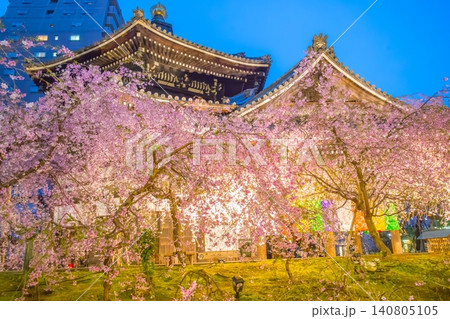 六角堂 桜 六角堂 桜 140805105