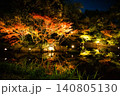 ライトアップされた紅葉 140805130