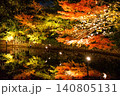 紅葉のライトアップされた池 140805131