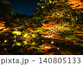 ライトアップされた紅葉 140805133