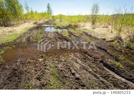 Muddy Road Through Wetland Landscape 140805233