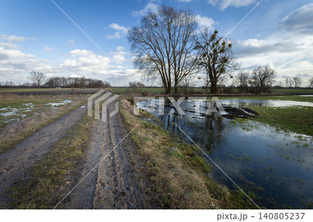 Country Road Through Meadow with Trees and Water Country Road Through Meadow with Trees and Water 140805237