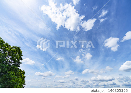 初夏の青空と雲と樹木 140805396