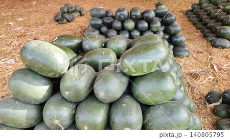 Fresh dark green long watermelons stacked on dry grass showing abundant summer harvest for wholesale sale 140805795