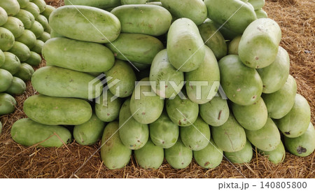 Light green long watermelons displayed on dry grass in Karachi wholesale fruit market during summer Light green long watermelons displayed on dry grass in Karachi wholesale fruit market during summer 140805800