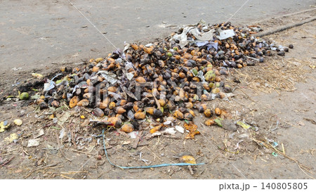 Rotten mango pile showing food waste and post harvest losses at a Karachi wholesale fruit market roadside 140805805