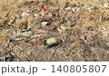 Spoiled watermelon on garbage pile near Karachi fruit market 140805807