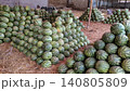 Striped green watermelons stacked in large piles for sale at Karachi wholesale fruit market during summer 140805809