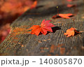 ベンチの上の落ち葉 140805870