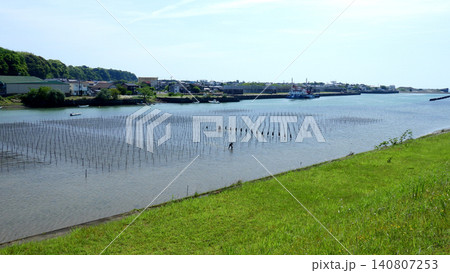 汽水域に広がるアオノリ養殖の風景 汽水域に広がるアオノリ養殖の風景 140807253