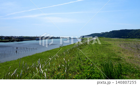 汽水域に広がるアオノリ養殖の風景 汽水域に広がるアオノリ養殖の風景 140807255