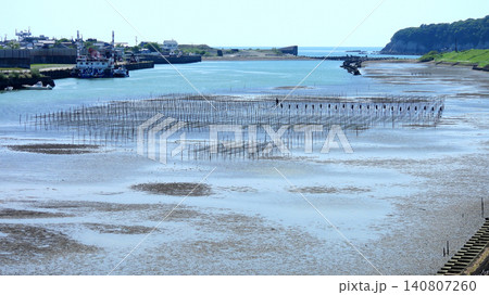 汽水域に広がるアオノリ養殖の風景 汽水域に広がるアオノリ養殖の風景 140807260