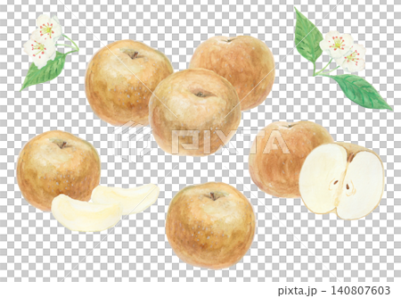 水彩絵の具で描いた梨のイラストセット 水彩絵の具で描いた梨のイラストセット 140807603