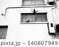 古い建物の壁から飛び立つ鳩 140807949