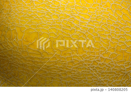 background texture surface of golden cantaloup background texture surface of golden cantaloup 140808205