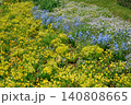 黄色と青と白の花が咲く花壇 140808665