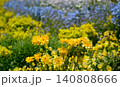黄色と青色の花が咲く花壇 140808666