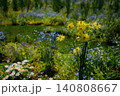 黄色の花が咲く花壇 140808667