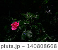 暗い背景に浮かぶ一輪の赤いバラ 140808668