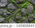 苔むした石垣 140808849