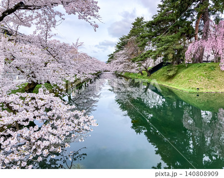 4月満開の弘前公園外濠に映る桜並木 水面に広がる美しい春の観光風景素材 4月満開の弘前公園外濠に映る桜並木 水面に広がる美しい春の観光風景素材 140808909