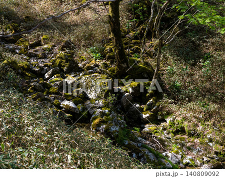 苔むす岩の沢筋 ― 大台ヶ原の渓流跡 苔むす岩の沢筋 ― 大台ヶ原の渓流跡 140809092