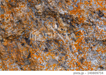 Close-Up of Textured Rock Surface with Orange and Grey Lichen Close-Up of Textured Rock Surface with Orange and Grey Lichen 140809734