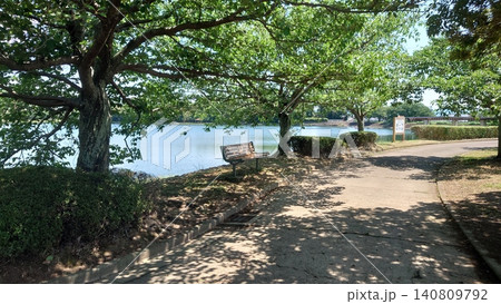 池田湖公園/Ikeda lake(長崎県大村市) 池田湖公園/Ikeda lake(長崎県大村市) 140809792