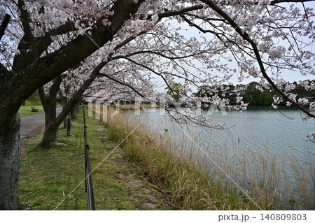 池田湖公園／Ikeda lake（長崎県大村市） 140809803