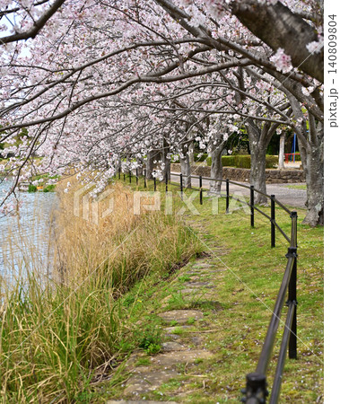 池田湖公園/Ikeda lake(長崎県大村市) 池田湖公園/Ikeda lake(長崎県大村市) 140809804