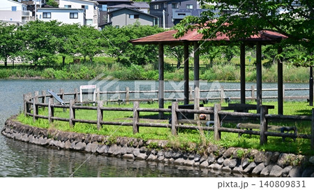 池田湖公園/Ikeda lake(長崎県大村市) 池田湖公園/Ikeda lake(長崎県大村市) 140809831