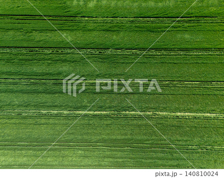 Aerial view of agricultural field 140810024