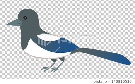 Magpie Magpie 140810539