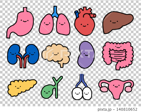 かわいい表情付き臓器キャラクターセットのイラスト かわいい表情付き臓器キャラクターセットのイラスト 140810652