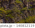 Rugged rock face adorned with moss and shrubs in nature 140812119